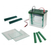 Vertical Electrophoresis (2 gels, 186 x 205mm)