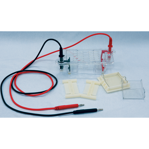 horizontal gel electrophoresis platform and covered with