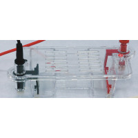 Lid for Small Horizontal Electrophoresis, BT101