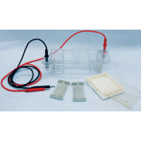 Horizontal Electrophoresis (Medium: 100 x 70, 50 x 70mm gels)