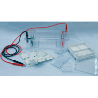 Horizontal Electrophoresis (Large: 60 x 60, 120 x 60, 60 x 120, 120 x 120mm gels)