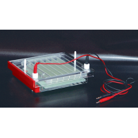 High Throughput Horizontal Electrophoresis (198 samples)