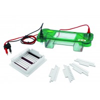 Horizontal Electrophoresis (78x100mm)