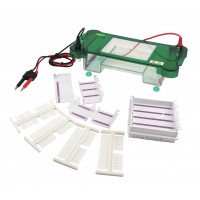 Horizontal Electrophoresis (60x60, 120x60, 60x120, 120x120mm)