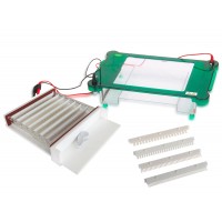 Horizontal Electrophoresis (245 x 250mm)