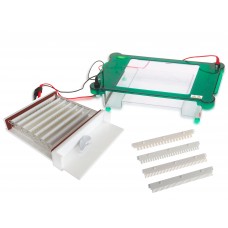 Horizontal Electrophoresis (245 x 250mm)