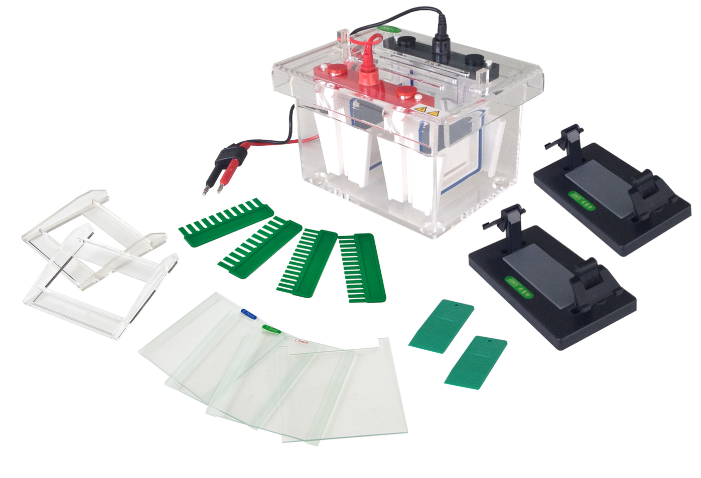 Vertical Electrophoresis Tank (4 gels)