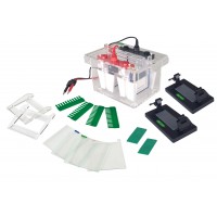 Mini Vertical Electrophoresis Cell (4 gels, 10 x 10cm)