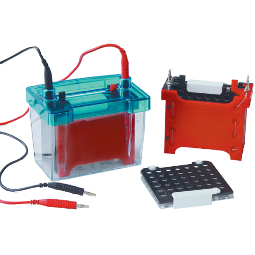 Western Blot Equipment