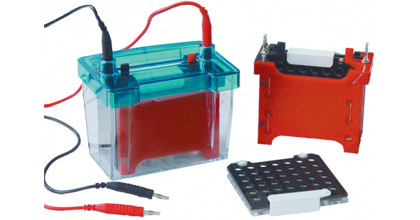 Wet/Tank Blotting System for Sale | BT Lab Systems