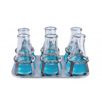 6 x 250ml Flask Platform for Orbital Shakers