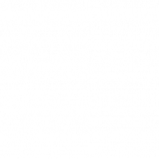 Horizontal Electrophoresis (Large: 60 x 60, 120 x 60, 60 x 120, 120 x 120mm gels)