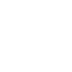 Electrophoresis